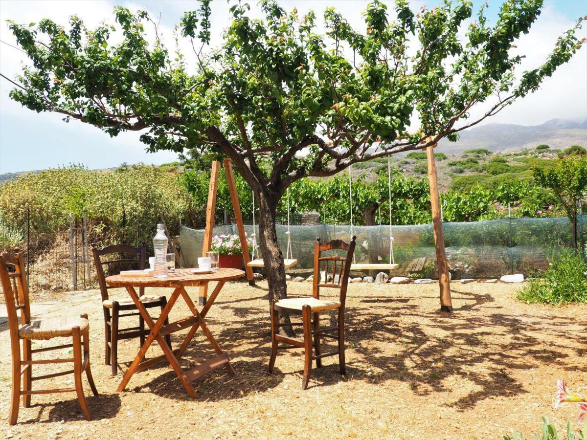 Traditional Cretan Villa Rodhopos Екстер'єр фото
