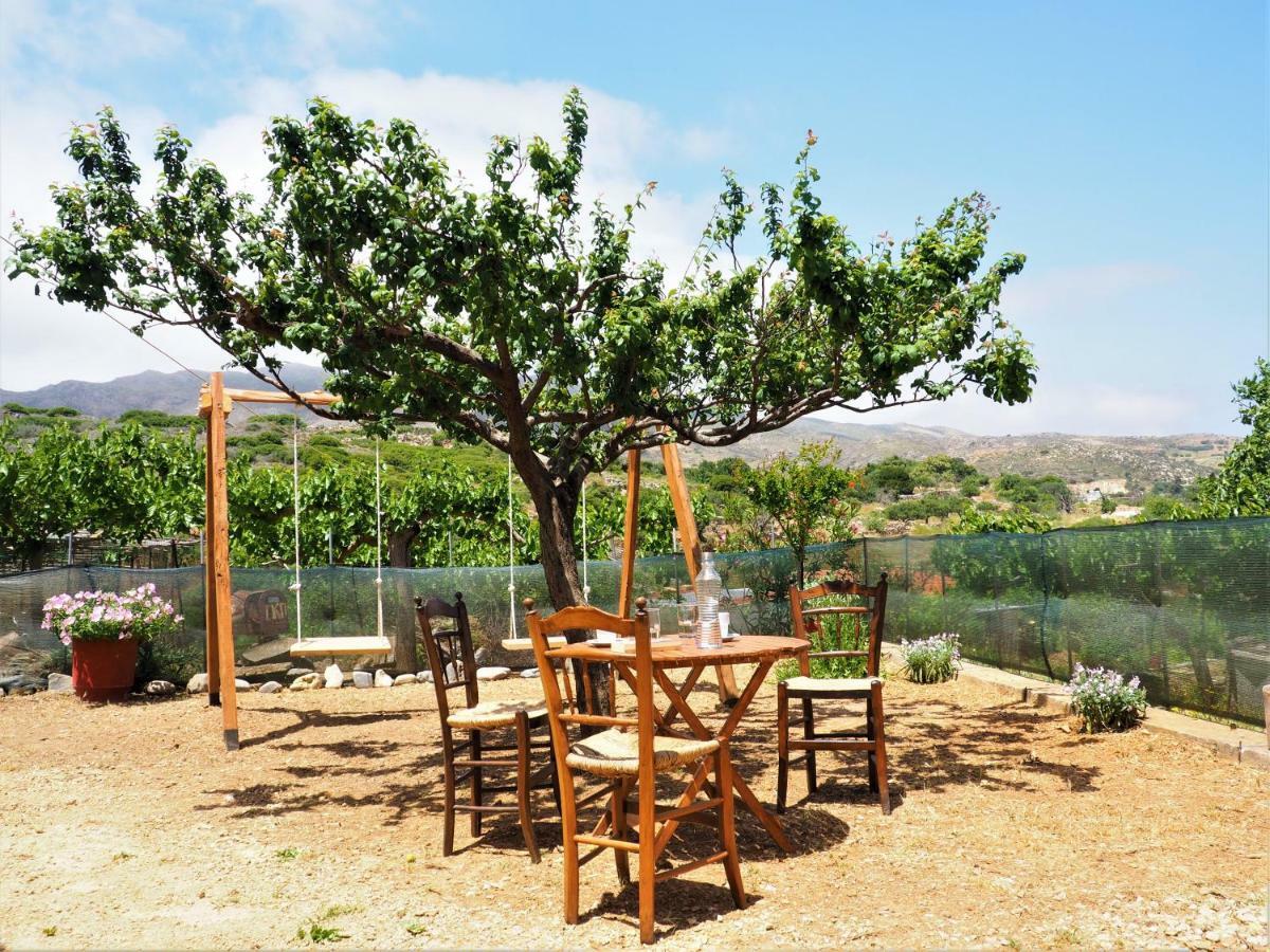 Traditional Cretan Villa Rodhopos Екстер'єр фото